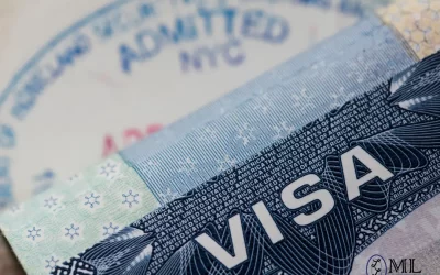 What Are The Different Types Of Visas And How To Apply